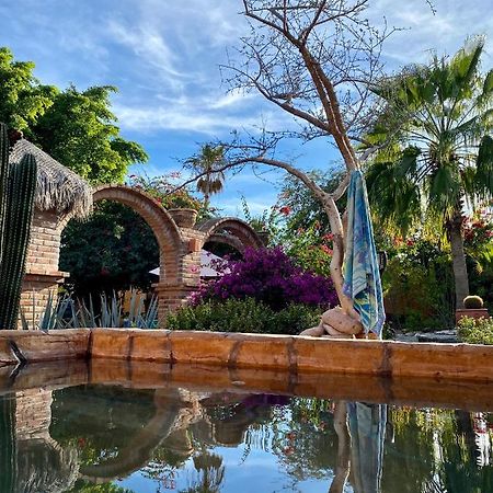 Casa Xochitl Bed and Breakfast El Centenario Εξωτερικό φωτογραφία