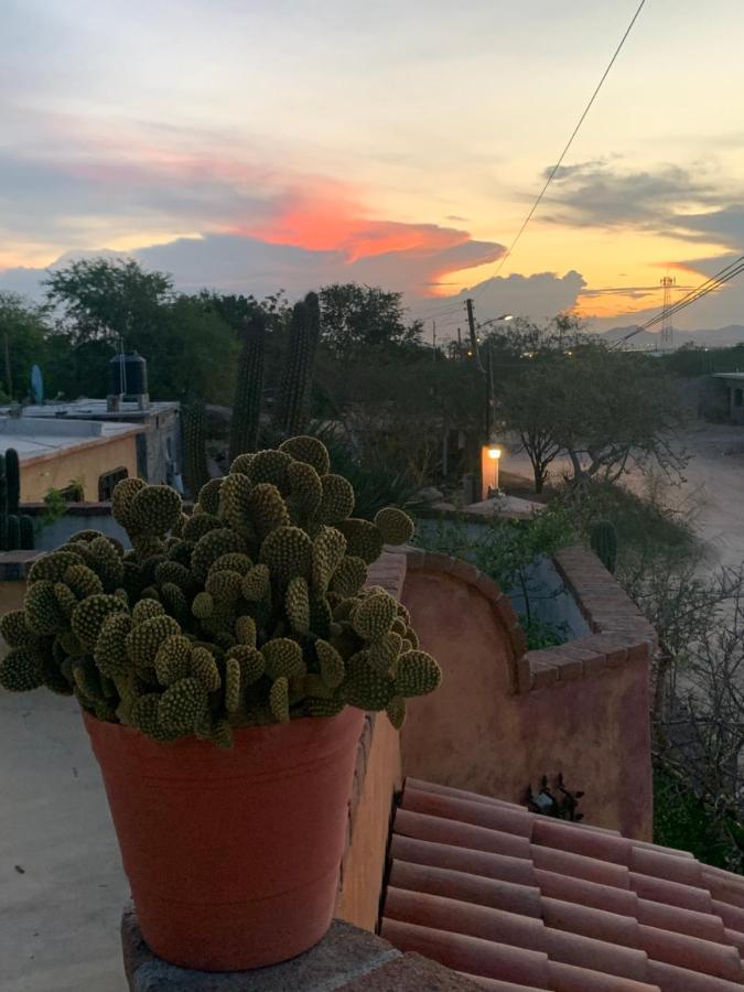 Casa Xochitl Bed and Breakfast El Centenario Εξωτερικό φωτογραφία